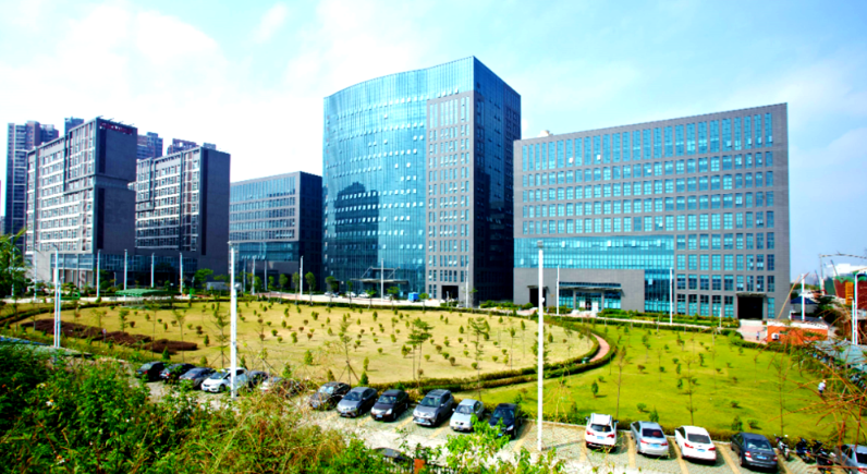 企业团建定制游方案设计要点：从需求调研到落地执行的标准化流程